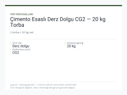 Çimento Esaslı Derz Dolgu CG2 — 20 kg Torba