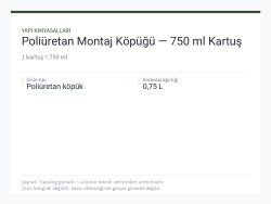 Poliüretan Montaj Köpüğü — 750 ml Kartuş