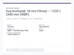 Huş Kontrplak 18 mm Filmsiz — 1220 × 2440 mm (WBP)