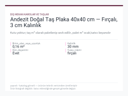 Andezit Doğal Taş Plaka 40x40 cm — Fırçalı, 3 cm Kalınlık