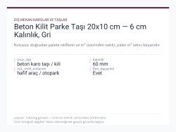 Beton Kilit Parke Taşı 20x10 cm — 6 cm Kalınlık, Gri