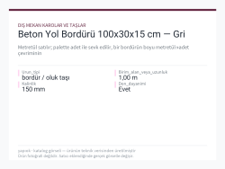Beton Yol Bordürü 100x30x15 cm — Gri