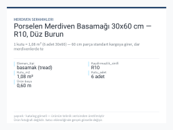 porselen-merdiven-basamagi-30x60-cm-r10-duz-burun