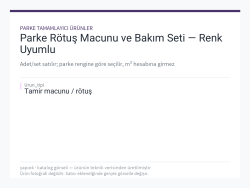 Parke Rötuş Macunu ve Bakım Seti — Renk Uyumlu