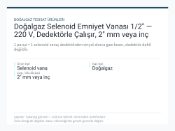 Doğalgaz Selenoid Emniyet Vanası 1/2" — 220 V, Dedektörle Çalışır, 2" mm veya inç