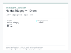 Nokta Süzgeç — 10 cm