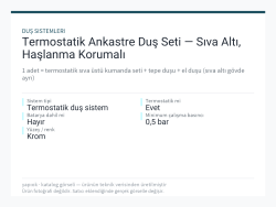 Termostatik Ankastre Duş Seti — Sıva Altı, Haşlanma Korumalı