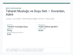 Taharet Musluğu ve Duşu Seti — Duvardan, Askılı