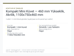 Kompakt Mini Küvet — 460 mm Yükseklik, Akrilik, 1100x750x460 mm
