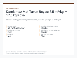 Damlamaz Mat Tavan Boyası 5,5 m²/kg — 17,5 kg Kova