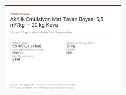 Akrilik Emülsiyon Mat Tavan Boyası 5,5 m²/kg — 20 kg Kova
