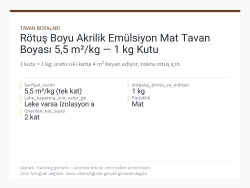 Rötuş Boyu Akrilik Emülsiyon Mat Tavan Boyası 5,5 m²/kg — 1 kg Kutu