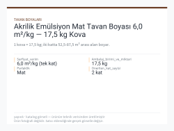 Akrilik Emülsiyon Mat Tavan Boyası 6,0 m²/kg — 17,5 kg Kova