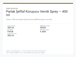 Parlak Şeffaf Koruyucu Vernik Sprey — 400 ml