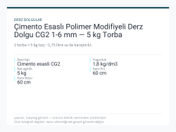 Çimento Esaslı Polimer Modifiyeli Derz Dolgu CG2 1-6 mm — 5 kg Torba
