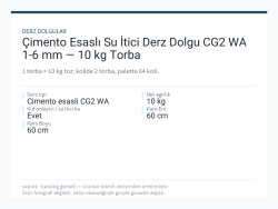Çimento Esaslı Su İtici Derz Dolgu CG2 WA 1-6 mm — 10 kg Torba