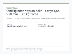 Kendiliğinden Yayılan Kalın Tesviye Şapı 5-50 mm — 25 kg Torba