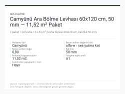 Camyünü Ara Bölme Levhası 60x120 cm, 50 mm — 11,52 m² Paket