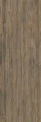 Çanakkale Seramik EC Plank BG 111 Mat Sinterflex Porselen Karo 50x150