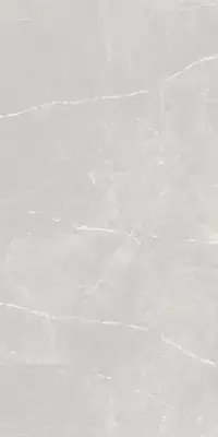 Çanakkale Seramik Armani Proje Parlak Gri Porselen Karo 60x120
