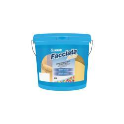 Mapei Facciata Astar Beyaz 2,5 L