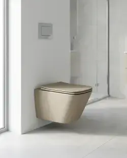 Pure Concept Kanalsız Asma Klozet Mat Cappucino uygulama örneği