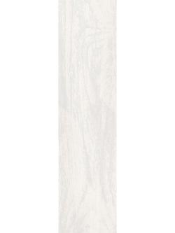 Qua Granite 15x60 Amazonica Bienco Mat
