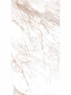Qua Granite 60x120 Calacatta Goldie Tam Parlak