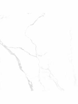 Qua Granite 60x60 Holmes White Parlak