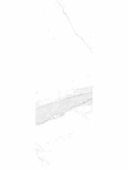 Qua Granite 30x90 Holmes White Parlak