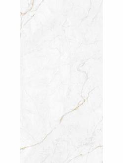 Qua Granite 60x120 Nervion Oro Tam Parlak