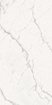 Decovita Armonia 60x120