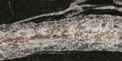 Termal Seramik 30x60 Jennifer Tek Renk