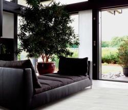 TERRACLICK Kristal Meşe 8 mm Laminat Parke