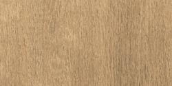 Uşak Seramik 20,5x60 Willow Kahve Mat