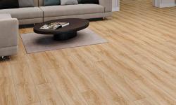 VARIOCLIC Exclusive 5G Mudanya 8 mm Laminat Parke
