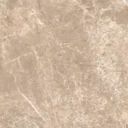 VitrA 60x60, Boscostone, Fon, Vizon, R10B