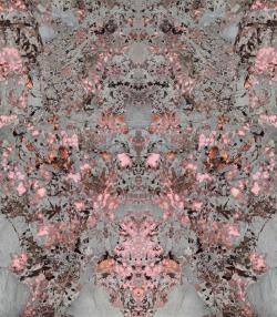 Kütahya Seramik 120x280 Mimoza Parlak Pink Bookmatch Rektifiye 6 MM